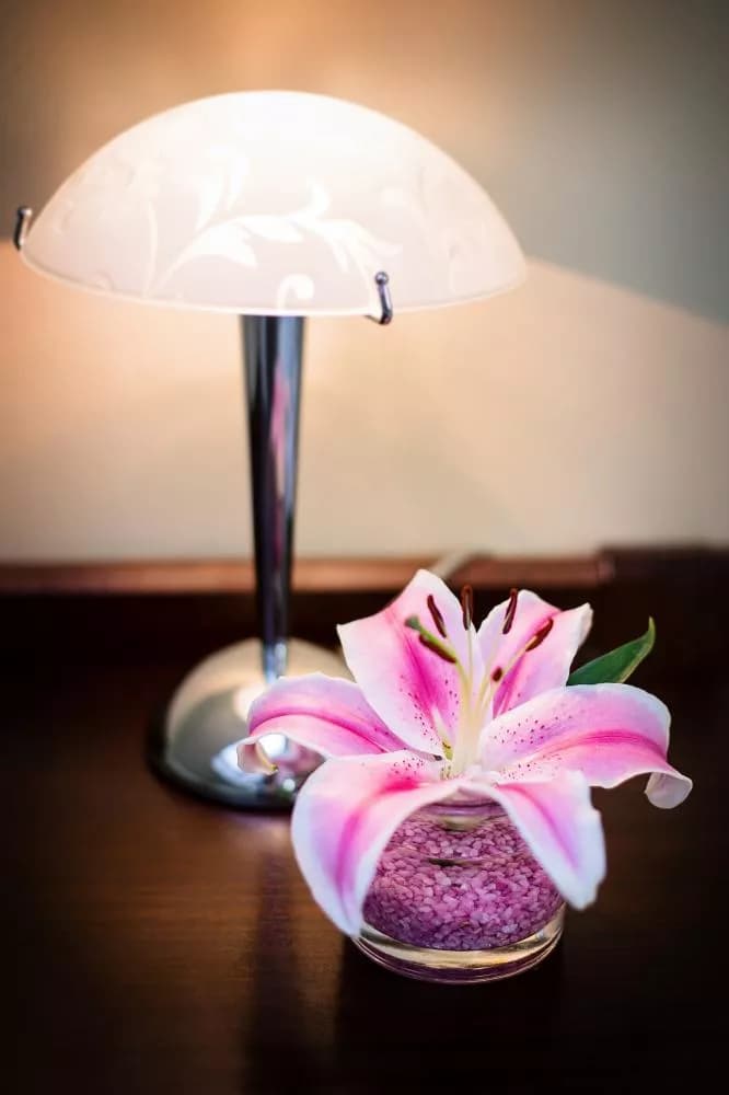 Photo 4 of Hotel Bona Serva